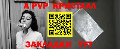 стафф Камышлов