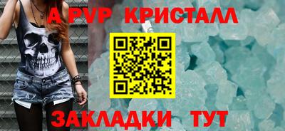 стафф Камышлов