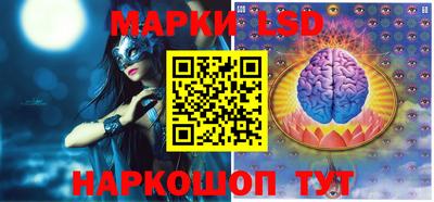стафф Камышлов
