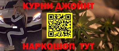 стафф Камышлов