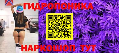 стафф Камышлов