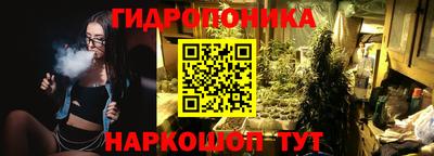 стафф Кандалакша