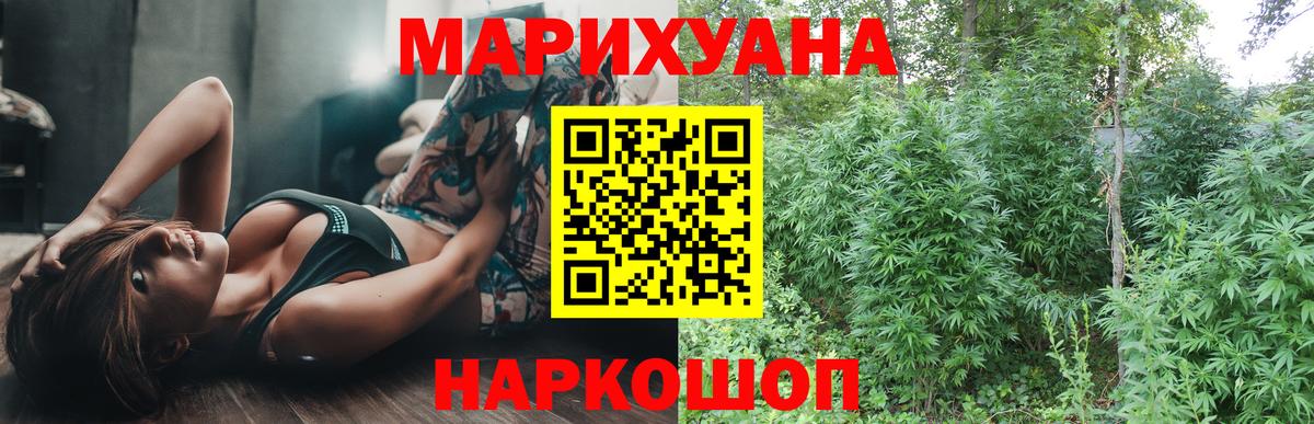 Бошки Шишки планчик Ивантеевка
